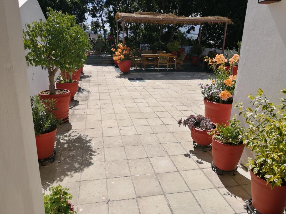 Hotel Aitana Oaxaca Dış mekan fotoğraf