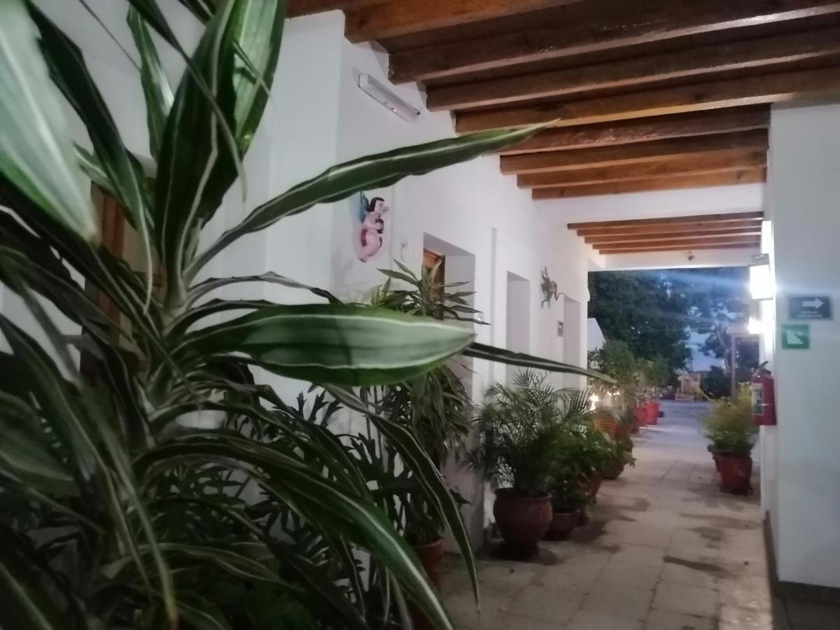 Hotel Aitana Oaxaca Dış mekan fotoğraf