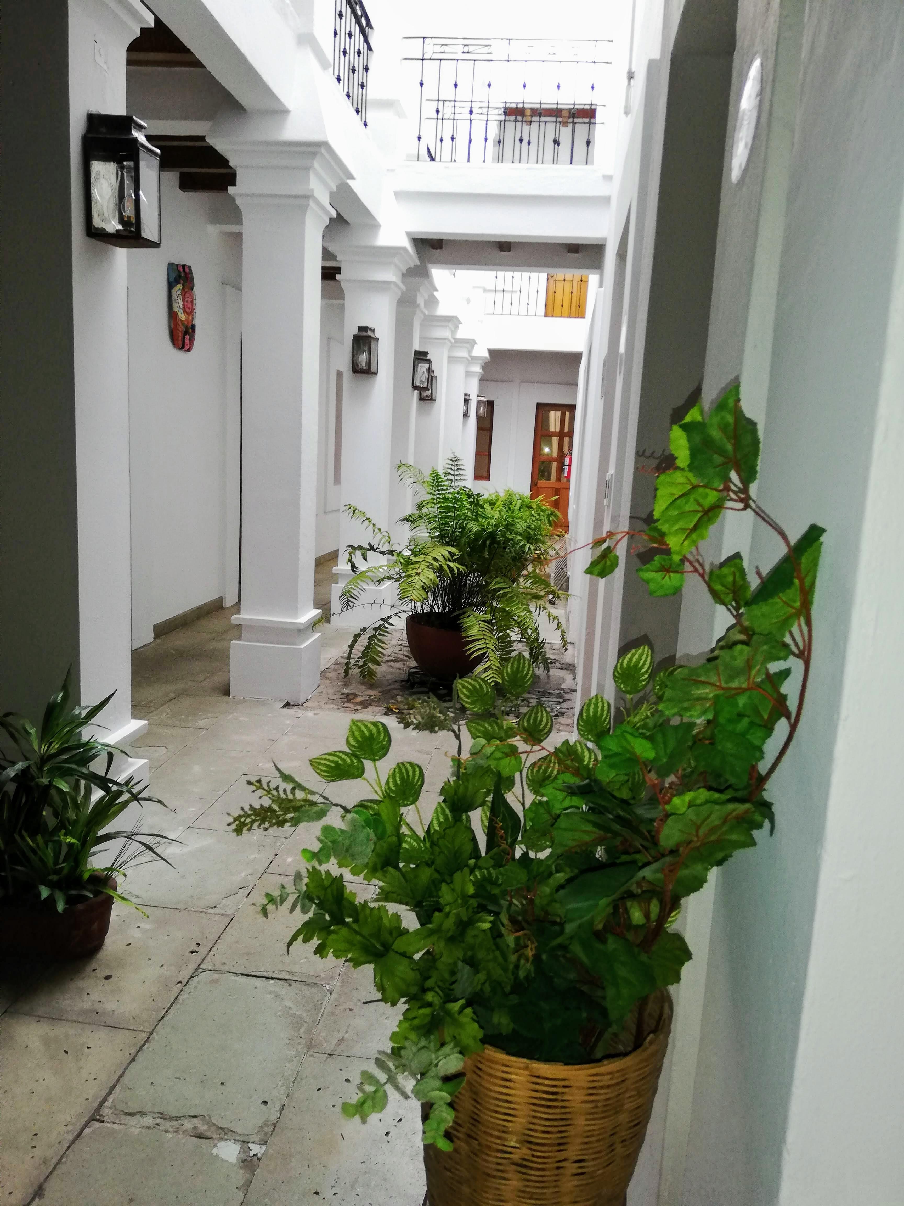 Hotel Aitana Oaxaca Dış mekan fotoğraf