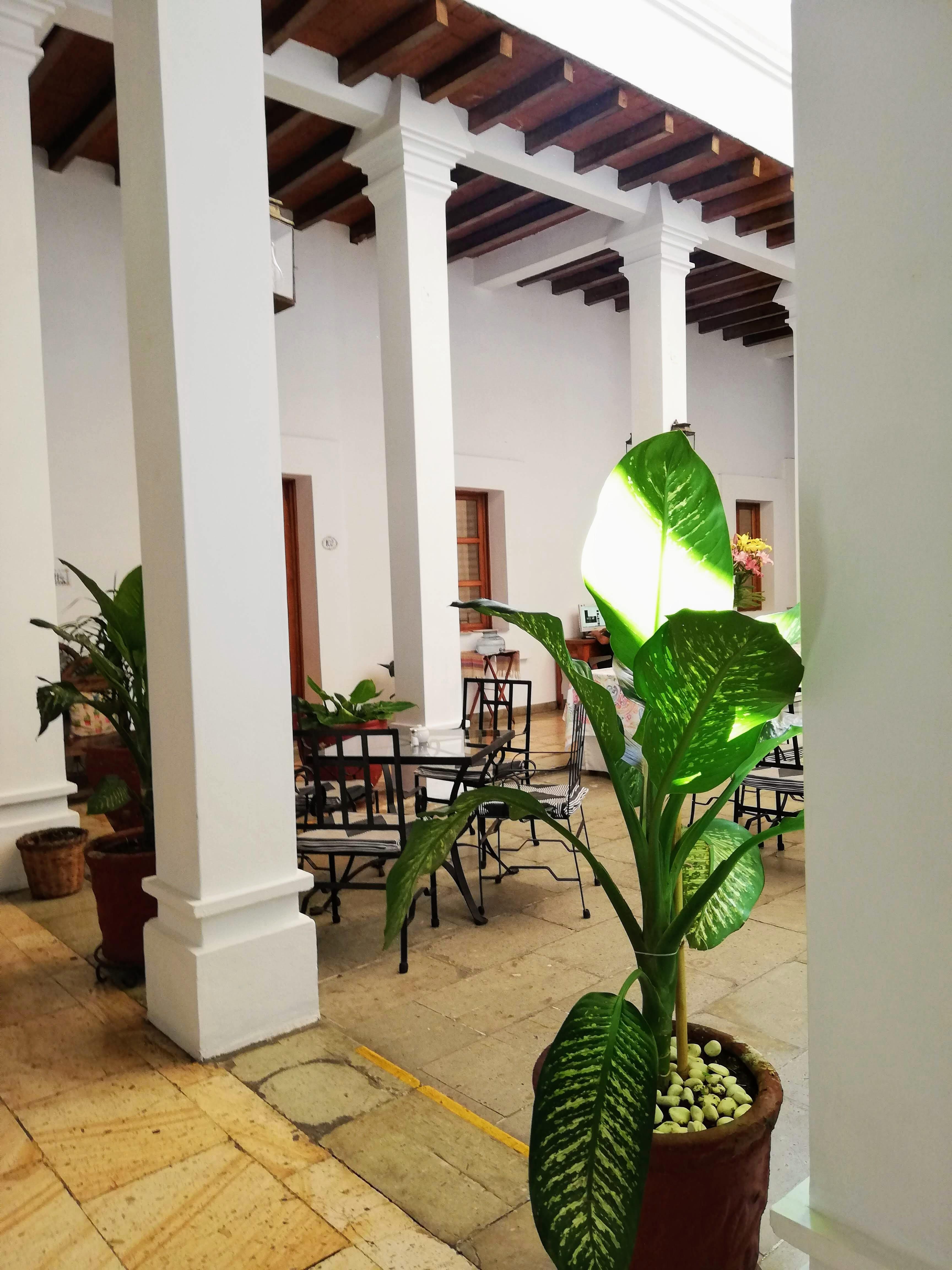 Hotel Aitana Oaxaca Dış mekan fotoğraf